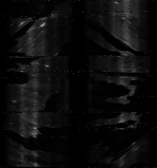 ASCAT-ALL.png